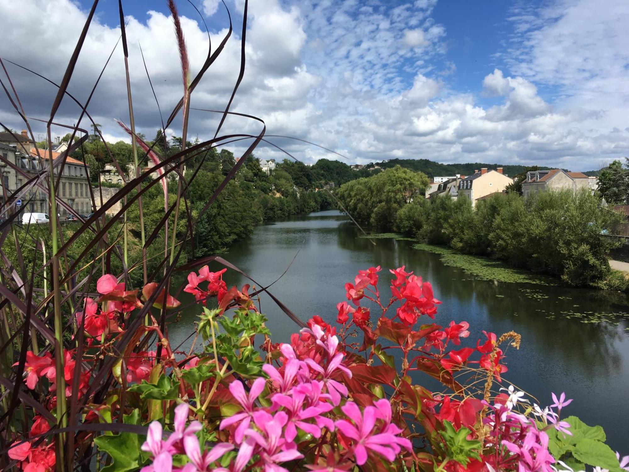 Le Cocon D'angela - - Parking Privé * Périgueux